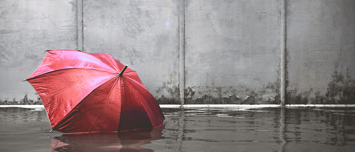 parapluie